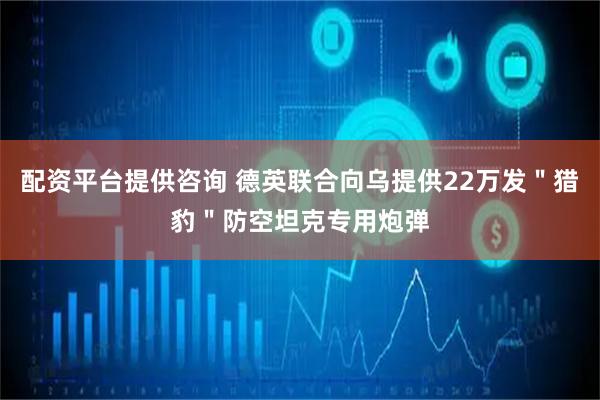 配资平台提供咨询 德英联合向乌提供22万发＂猎豹＂防空坦克专用炮弹