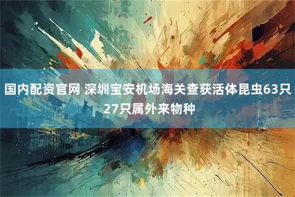 国内配资官网 深圳宝安机场海关查获活体昆虫63只 27只属外来物种